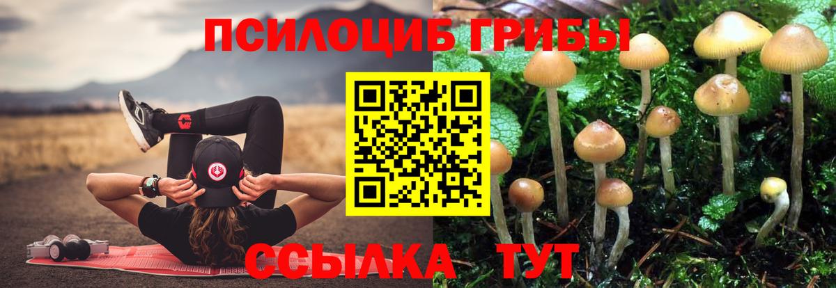 Галлюциногенные грибы GOLDEN TEACHER Альметьевск